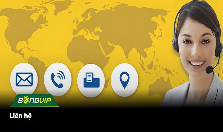Liên Hệ 1 Liên Hệ BongVip | Giải Quyết Vấn Đề Cho Bet Thủ Nhanh Chóng